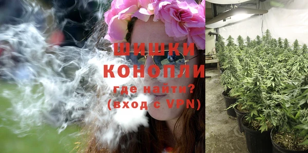 молекула духа Гусь-Хрустальный