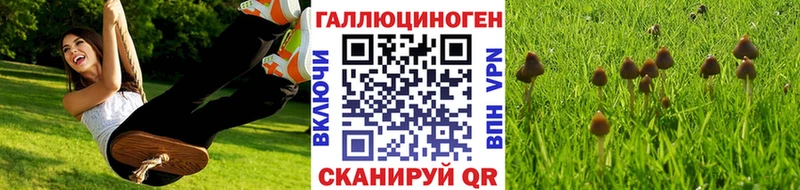 Купить закладки  Тотьма  Галлюциногенные грибы мицелий 